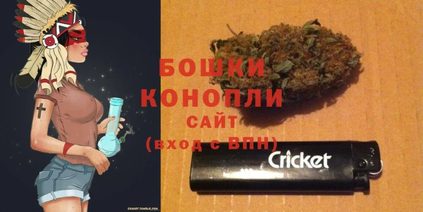 молекула духа Белоозёрский