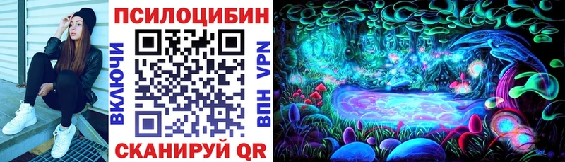 сайты даркнета официальный сайт  Княгинино  Псилоцибиновые грибы Psilocybine cubensis 