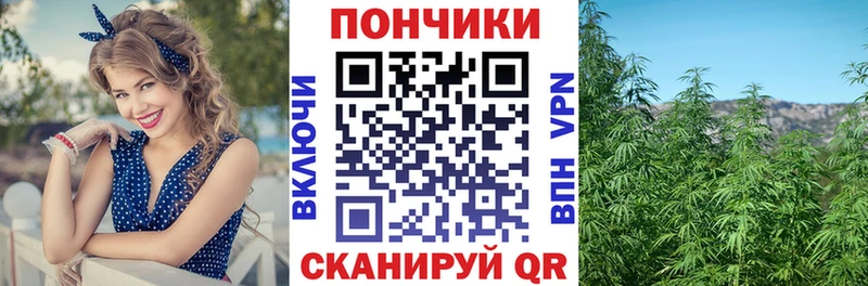 OMG tor  Княгинино  МАРИХУАНА конопля 
