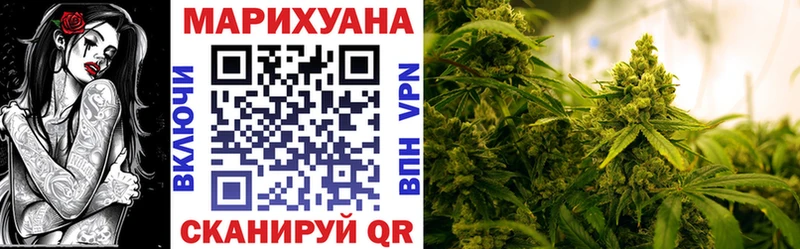 Канабис SATIVA & INDICA Княгинино